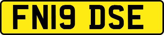 FN19DSE