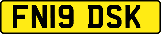 FN19DSK