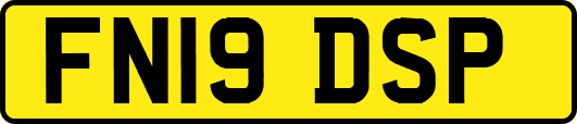 FN19DSP