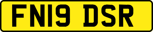 FN19DSR