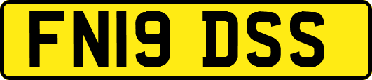 FN19DSS