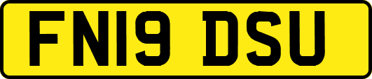 FN19DSU