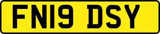FN19DSY