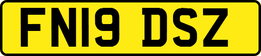 FN19DSZ