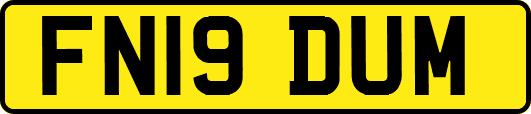 FN19DUM