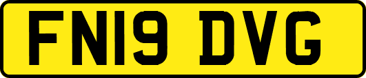 FN19DVG
