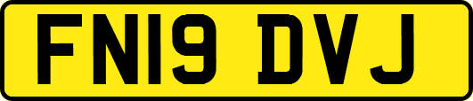 FN19DVJ