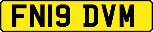 FN19DVM