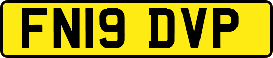 FN19DVP