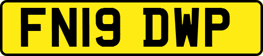 FN19DWP