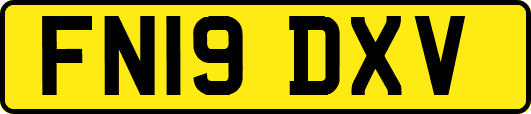 FN19DXV