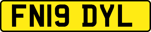 FN19DYL