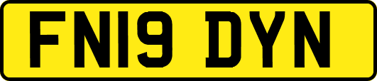 FN19DYN