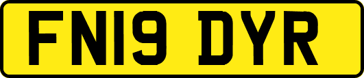 FN19DYR