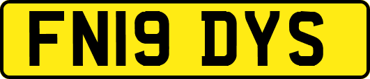 FN19DYS