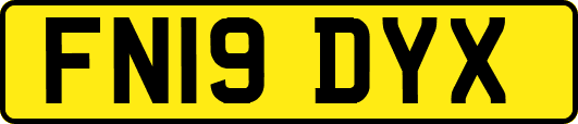 FN19DYX