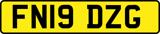 FN19DZG