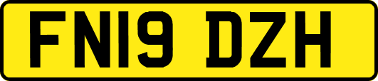 FN19DZH