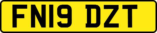 FN19DZT