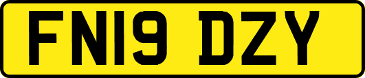 FN19DZY