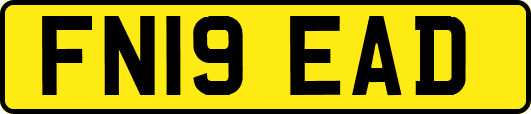 FN19EAD