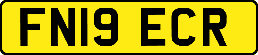 FN19ECR