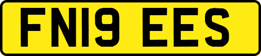 FN19EES
