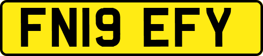 FN19EFY