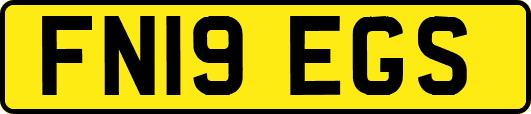 FN19EGS