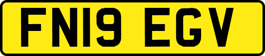 FN19EGV
