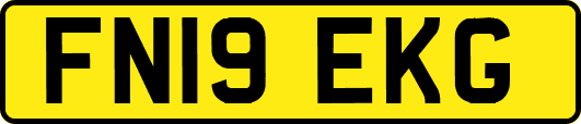 FN19EKG