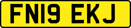 FN19EKJ