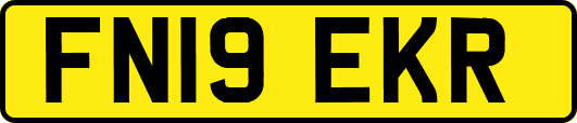 FN19EKR