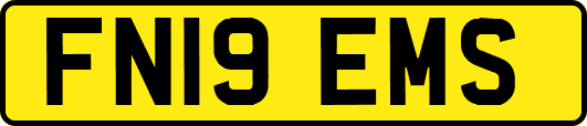 FN19EMS