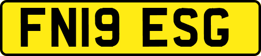 FN19ESG