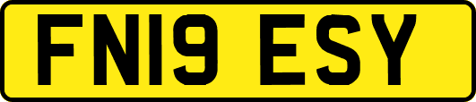 FN19ESY