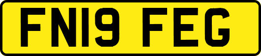 FN19FEG