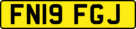 FN19FGJ
