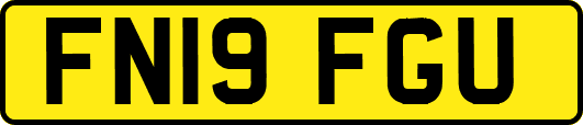 FN19FGU