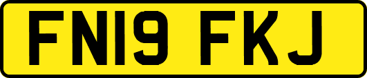 FN19FKJ