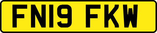 FN19FKW