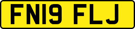 FN19FLJ