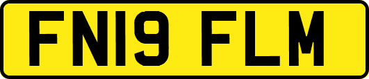 FN19FLM