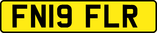 FN19FLR