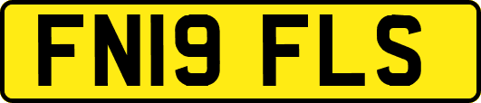 FN19FLS