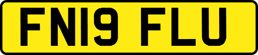FN19FLU