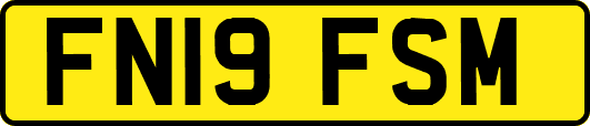 FN19FSM