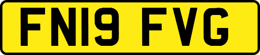 FN19FVG