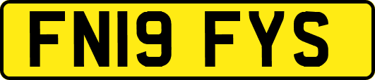 FN19FYS