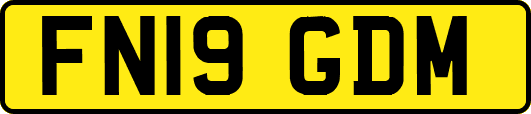 FN19GDM